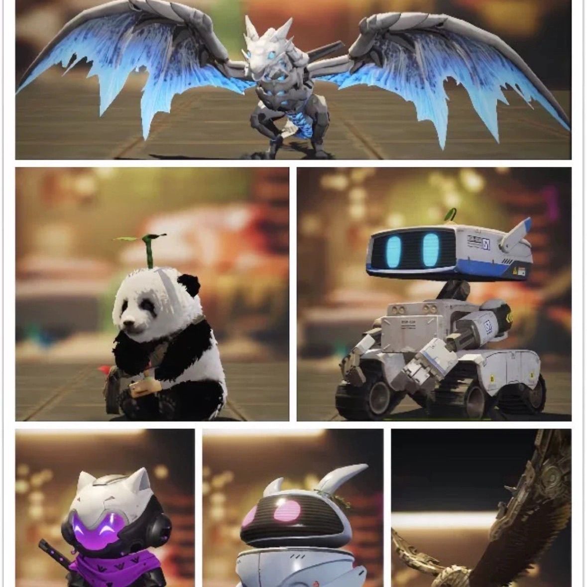 宠物一个【送高阔3个】